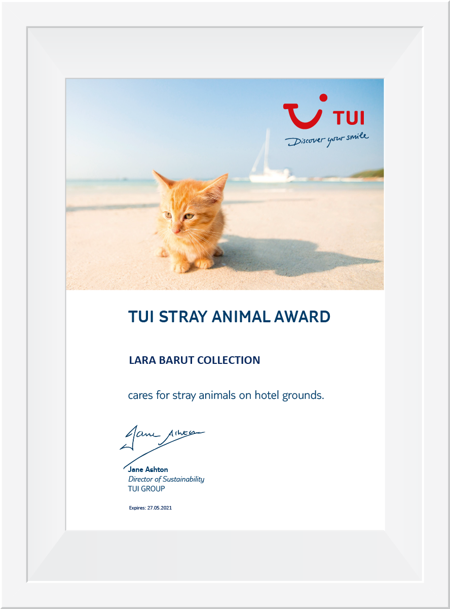 Stray Animal Award